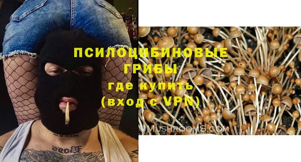 каннабис Алзамай