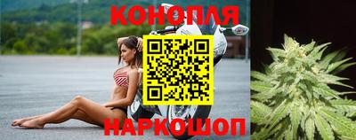 эйфоретик Моздок
