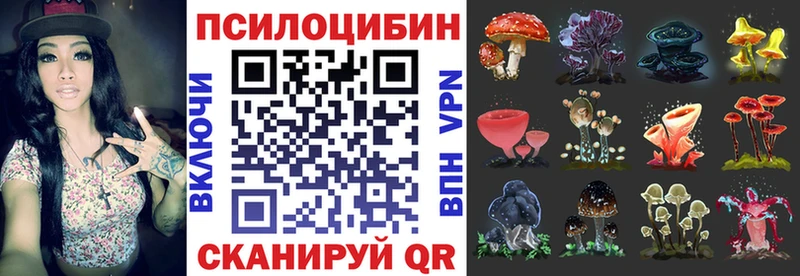 Псилоцибиновые грибы MAGIC MUSHROOMS  Волоколамск 