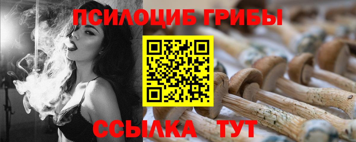 Псилоцибиновые грибы Psilocybine cubensis  Вход с VPN  купить   Волоколамск 